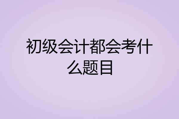 初级会计都会考什么题目