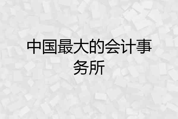 中国最大的会计事务所