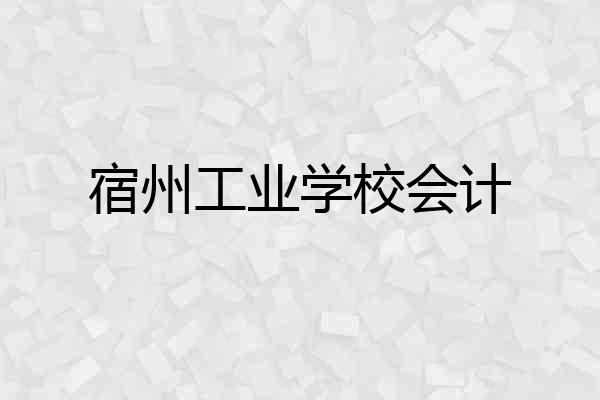 宿州工业学校会计