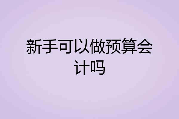 新手可以做预算会计吗