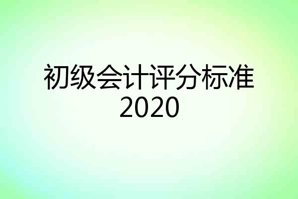 初级会计评分标准2020