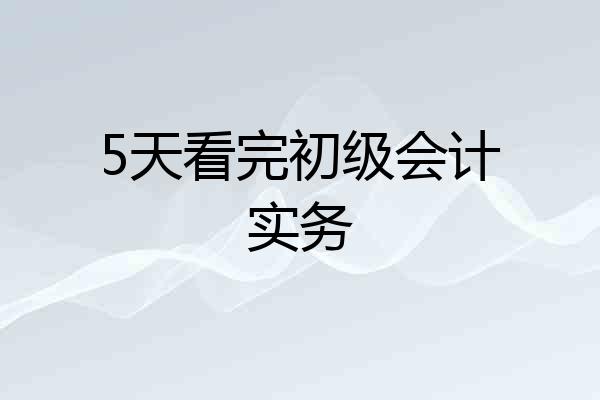 5天看完初级会计实务
