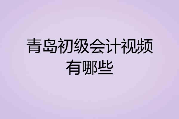 青岛初级会计视频有哪些