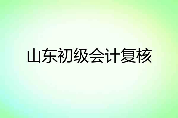 山东初级会计复核