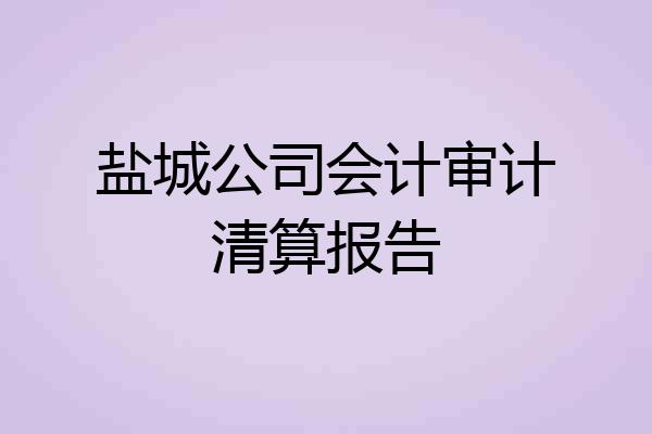 盐城公司会计审计清算报告
