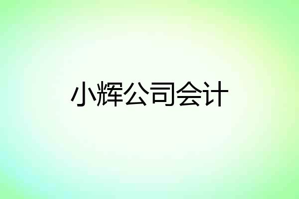 小辉公司会计
