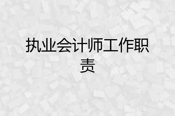 执业会计师工作职责