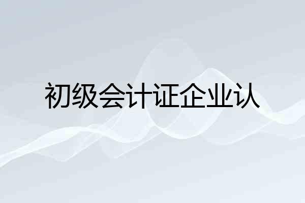 初级会计证企业认