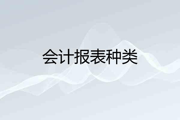会计报表种类