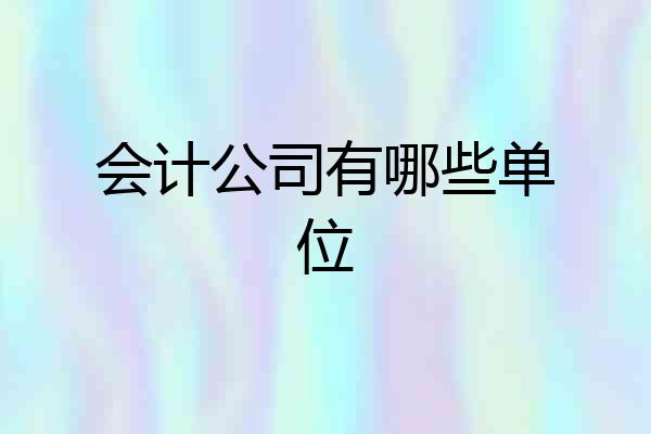 会计公司有哪些单位
