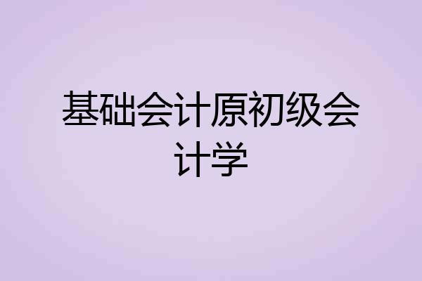 基础会计原初级会计学