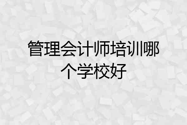 管理会计师培训哪个学校好