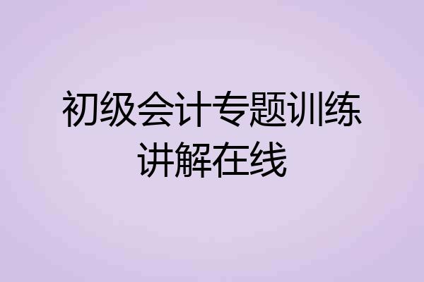 初级会计专题训练讲解在线