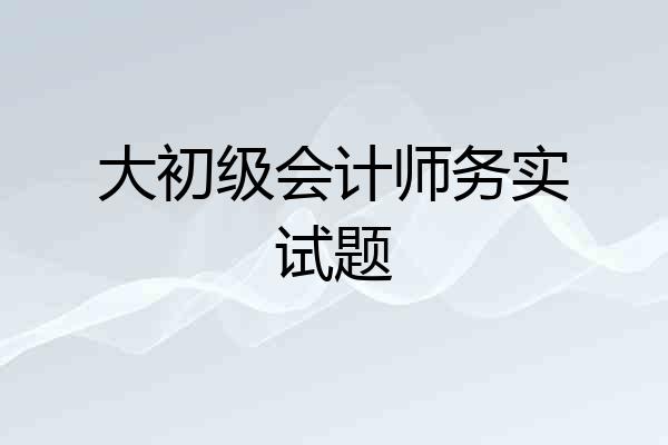 大初级会计师务实试题