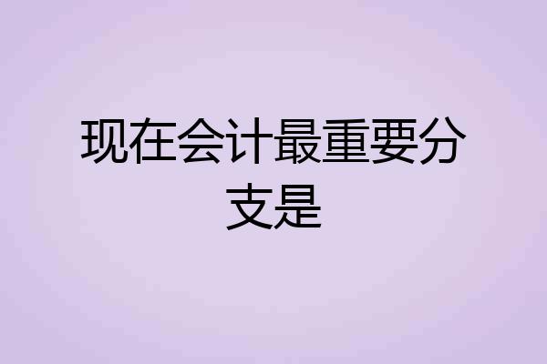 现在会计最重要分支是