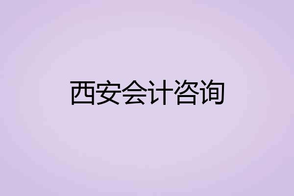 西安会计咨询