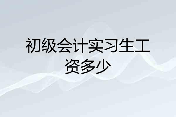 初级会计实习生工资多少