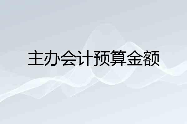 主办会计预算金额
