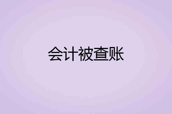 会计被查账