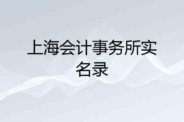 上海会计事务所实名录