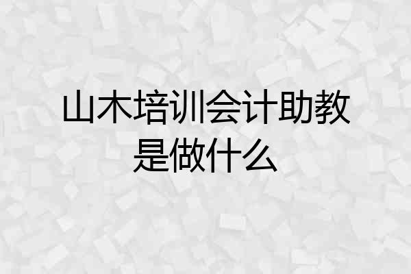 山木培训会计助教是做什么