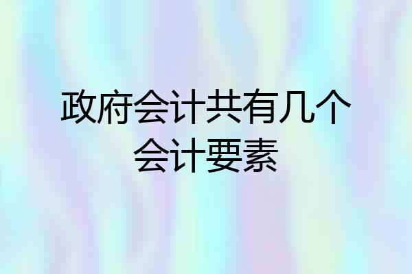 政府会计共有几个会计要素