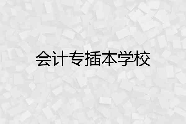 会计专插本学校