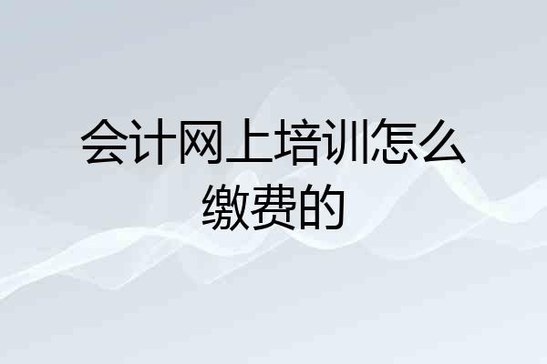 会计网上培训怎么缴费的