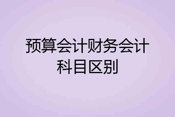 预算会计财务会计科目区别