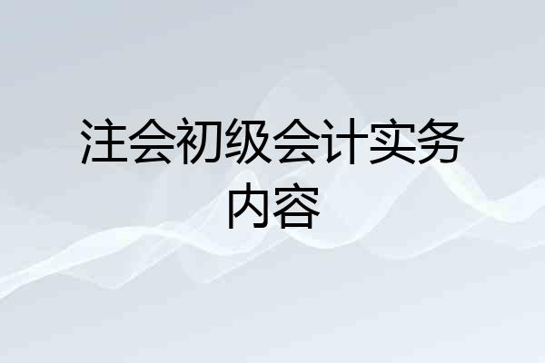 注会初级会计实务内容
