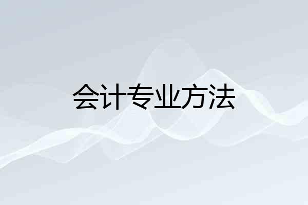 会计专业方法
