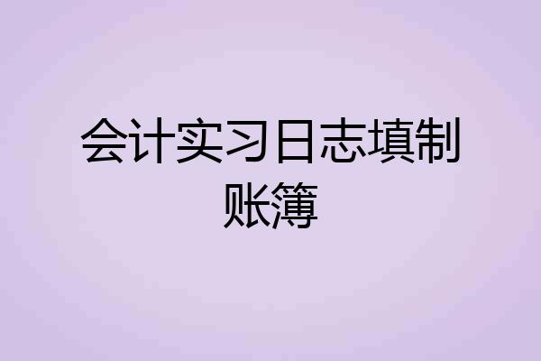 会计实习日志填制账簿