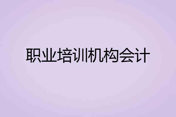 职业培训机构会计