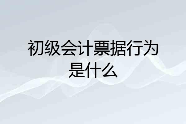 初级会计票据行为是什么