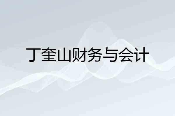 丁奎山财务与会计