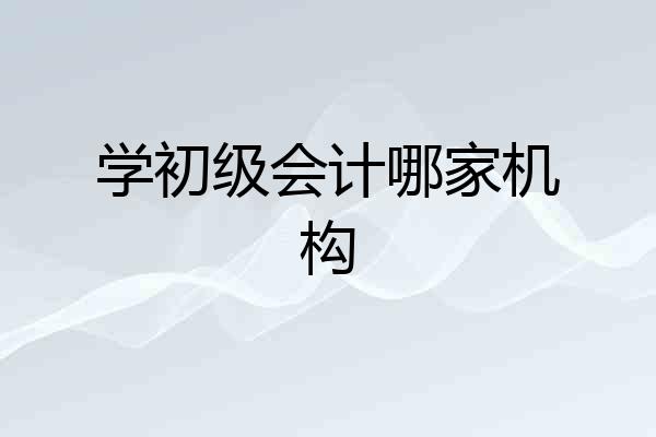 学初级会计哪家机构