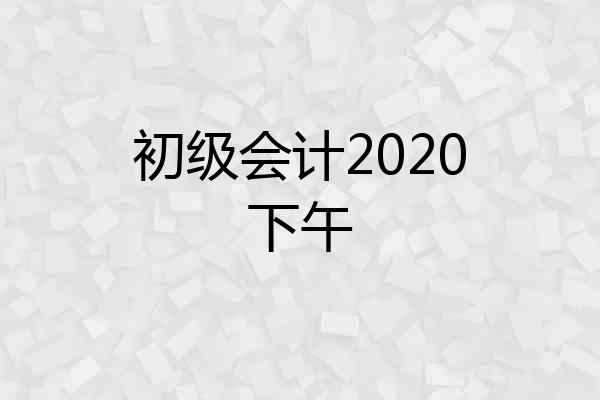 初级会计2020下午
