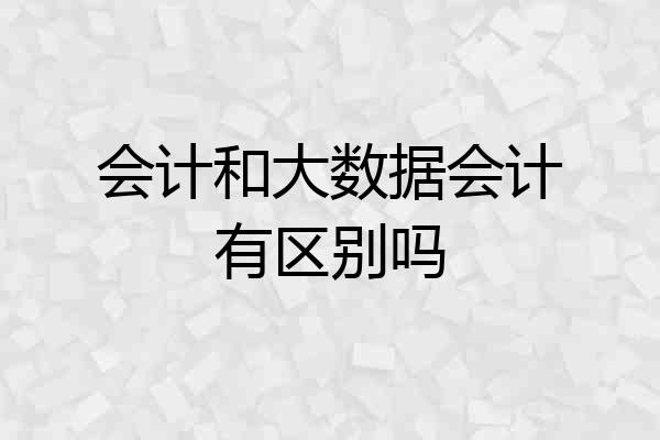 会计和大数据会计有区别吗