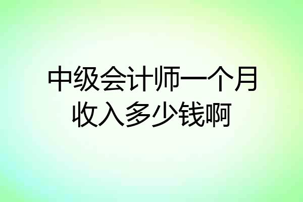中级会计师一个月收入多少钱啊