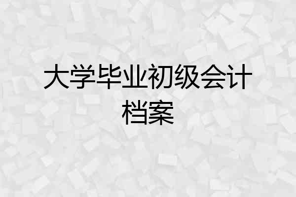 大学毕业初级会计档案