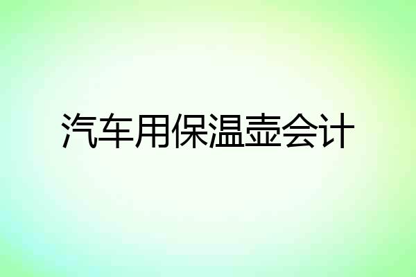 汽车用保温壶会计