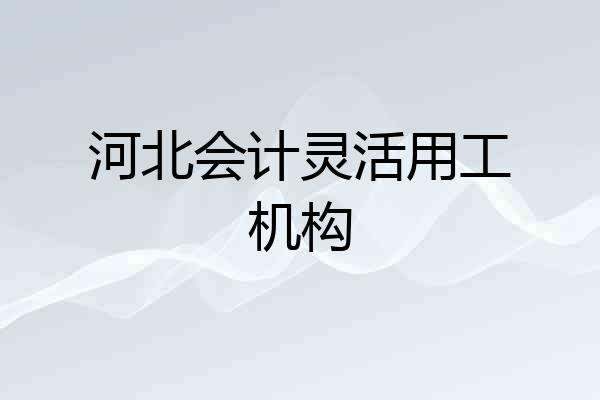 河北会计灵活用工机构