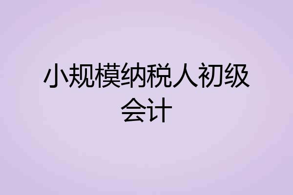 小规模纳税人初级会计