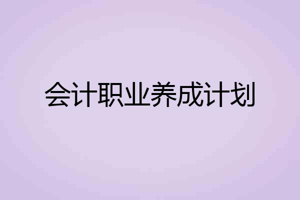 会计职业养成计划