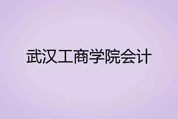 武汉工商学院会计