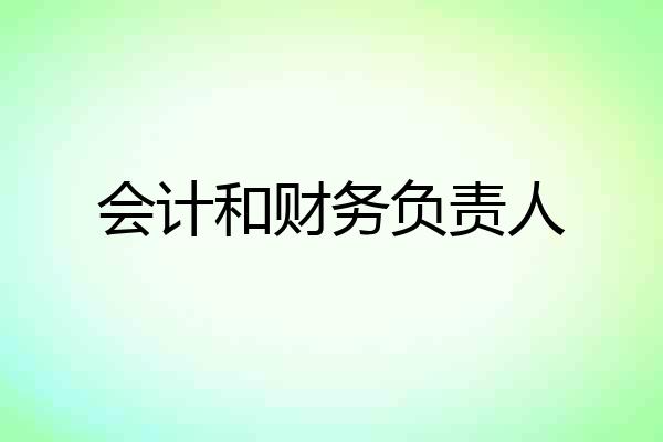 会计和财务负责人