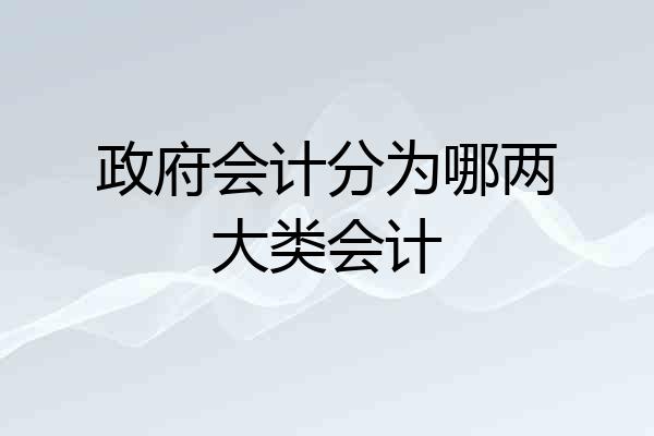 政府会计分为哪两大类会计