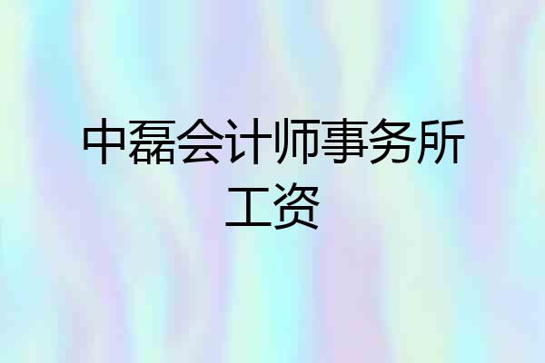 中磊会计师事务所工资