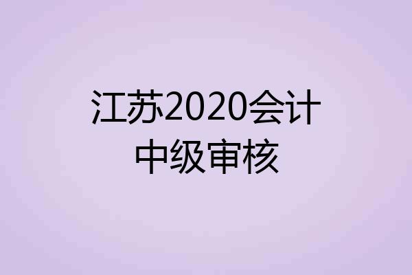 江苏2020会计中级审核