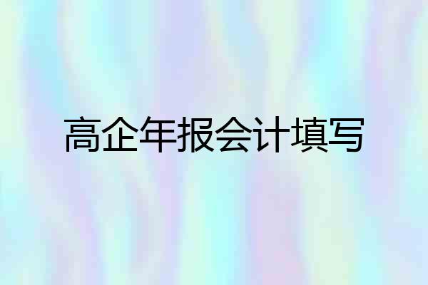 高企年报会计填写